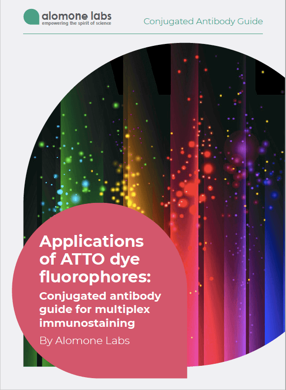 Download our new technical paper: Conjugated antibody guide for multiplex immunostaining